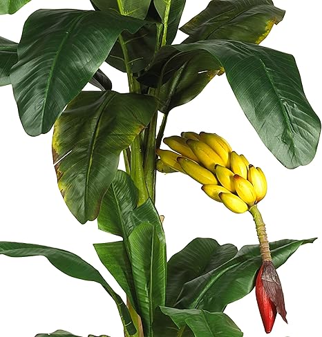 Nearly Natural 5226 6ft. Triple Stalk Banana Silk Tree , Green , 53.25" x 13" x 11.5"