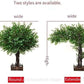 Outdoor Interior Simulation Plants Artificial Ficus Tree Large Fake Banyan Tree Hotel Shopping Mall Floor Living Room Green Plant Landscaping Decoration(B,5mx4m)