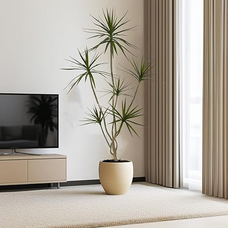 Artificial Dracaena marginata,6ft Tall Fake Plants Artificial Dracaena marginata Plants for Indoor, Fake Trees for Office Home Living Room Floor Patio Greening Porch Decor