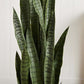 Nearly Natural 51-in Artificial Tall Snake Plant Sansevieria, Green Faux Snake Plant for Indoor Home Decor in White Planter, Fake Plant in Office, Living Room, Bedroom, Lifelike Artificial Plant