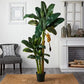 Nearly Natural 5226 6ft. Triple Stalk Banana Silk Tree , Green , 53.25" x 13" x 11.5"