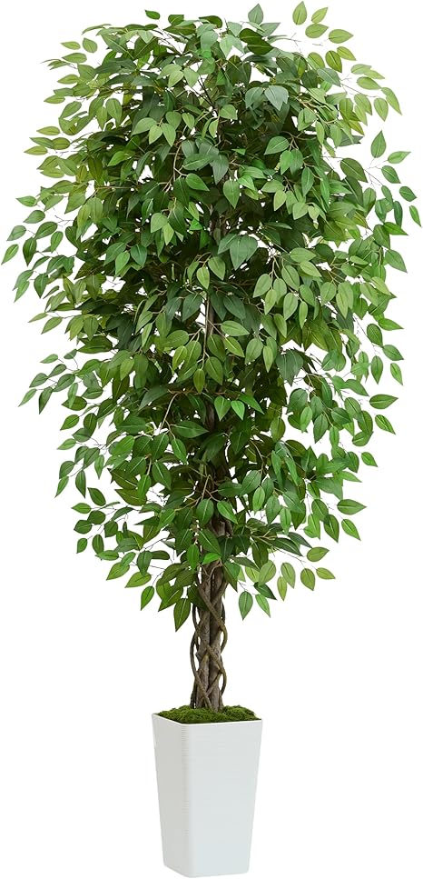 Artificial Ficus Tree 6FT Faux Plants Indoor Tall Fake Plants with White Planter, Green Lifelike Lush Fake Ficus Tree for Home Living Room Bedroom Outdoor Balcony House Office Decor