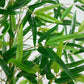 Nearly Natural 8ft. Artificial Green Bamboo Tree
