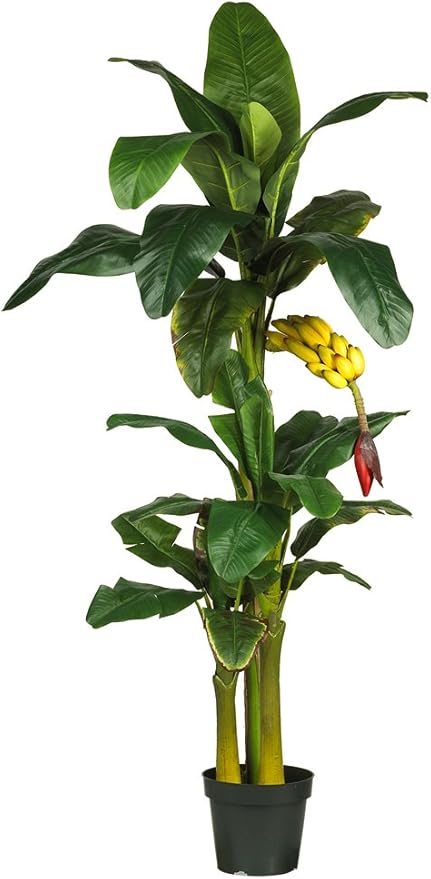 Nearly Natural 5226 6ft. Triple Stalk Banana Silk Tree , Green , 53.25" x 13" x 11.5"