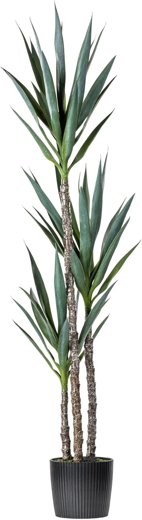 Vickerman Everyday Green Yucca Triple Stem Tree 60" Tall - Silk Artificial Indoor Plant - Multi Purpose Tropical Decoration for Home Office Living Room Decor