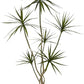 Artificial Dracaena marginata,6ft Tall Fake Plants Artificial Dracaena marginata Plants for Indoor, Fake Trees for Office Home Living Room Floor Patio Greening Porch Decor